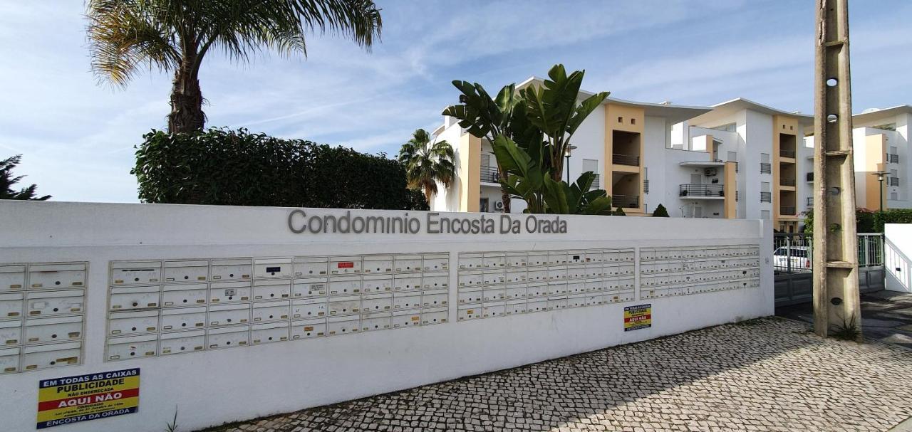 Apartamento Costa อัลบูเฟรา ภายนอก รูปภาพ